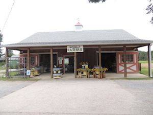 2013 0803 farm stand northville farms 2