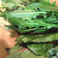 2014 0222 kitchen greens 3
