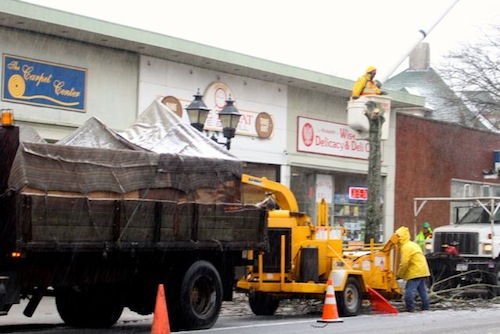 A tree being removed on West Main Street on Monday. (RiverheadLOCAL photo by Peter Blasl)