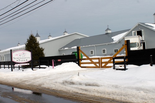 2015_0204_serendipity_1