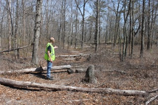 2015_0409_flanders_woods_file_1