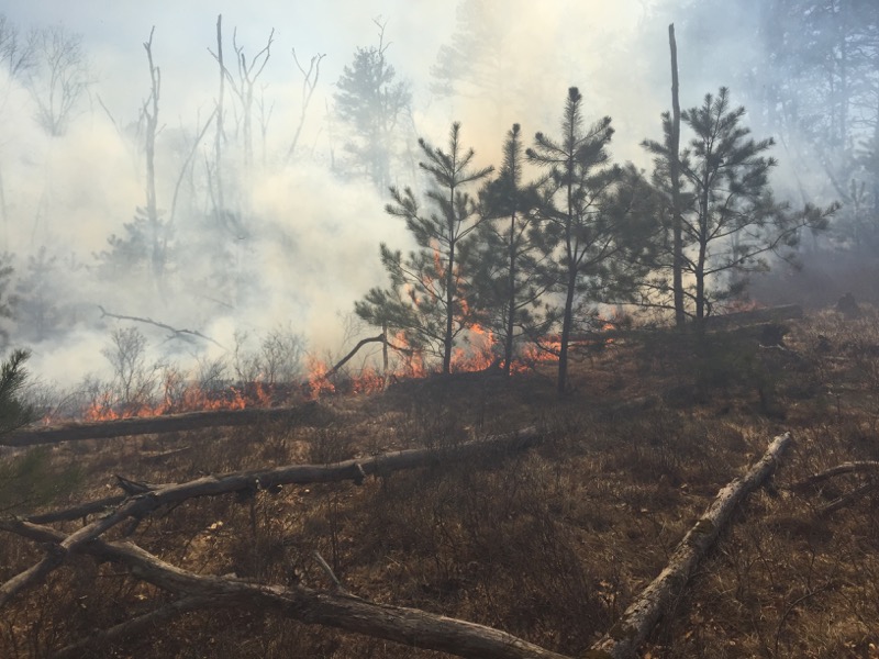 2015_0411_flanders_brush_fire_4