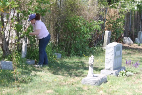 Mary Egan clipped overgrown branches around headstones yesterday at St. John's Cemetery. Photo: Denise Civiletti