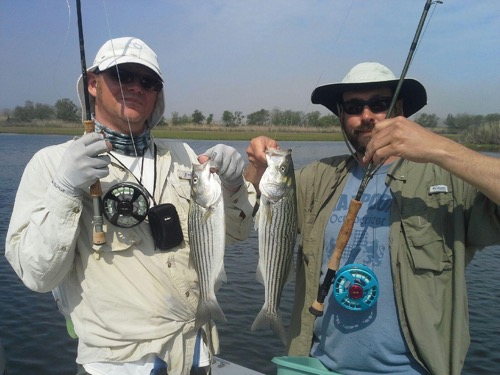 Christian Sloan and his friend Bill with a pair of striped bass. Courtesy photo: Rob Thompson 