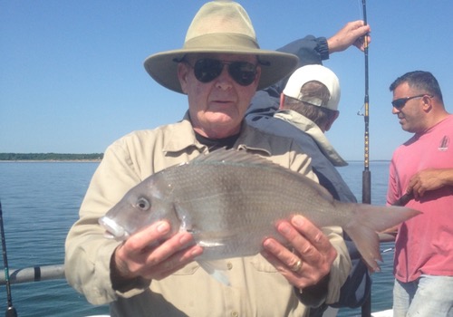Porgy caught on the Peconic Star. Courtesy photo:  Dennis Tinnin