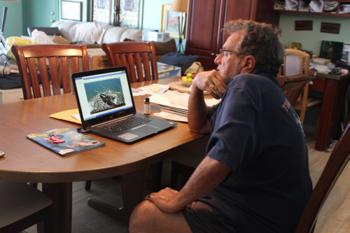 Tom Aprea sits in his kitchen and watched video of the osprey nest outside his home. Photo: Katie Blasl