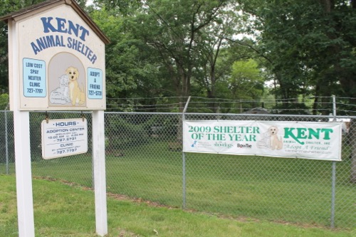 Environmental activist Richard Amper has taken his complaint about the Kent Animal Shelter application — and two other pine barrens commission matters — to the state attorney general. Photo: Denise Civiletti