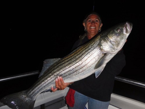 Kathy with a 25-pound bass caught on the Brooklyn Girl. Courtesy photo: Ken Holmes