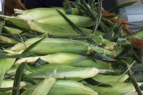 2015_0711_corn