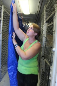 2015_0813_animal_shelter-13