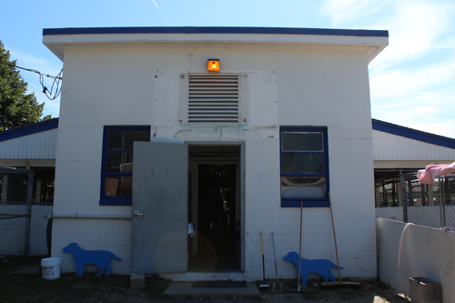 The shelter's main kennel building does not have proper ventilation or lighting. Photo: Katie Blasl