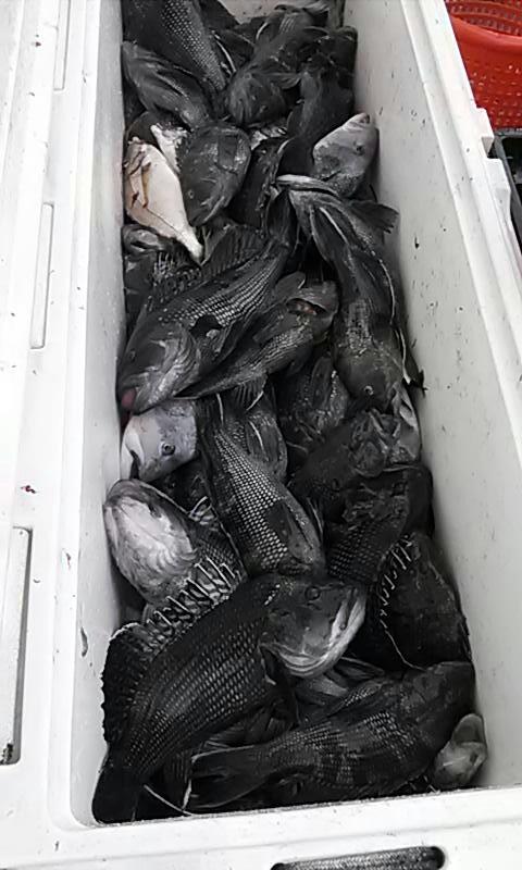 2015_0828_fishing_5
