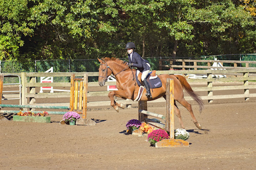 Sweet Hills Riding Center in Huntington is one of only two equestrian centers in county parks, and it includes an indoor arena, outdoor riding rings and stables. Photo: Sweet Hills Riding Center