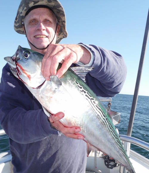 Ron Wellman of Riverhead with a false albacore caught on a fluke bait aboard the Brooklyn Girl this week. Photo: Ken Holmes