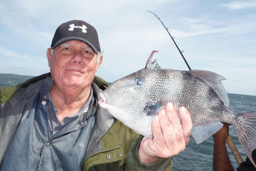 Harvey on Saturday with a large trigger caught aboard the Brooklyn Girl. Courtesy photo: Ken Holmes>/em> 