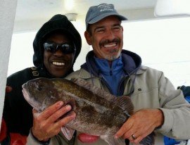 Blackfish caught on the Peconic Star. Courtesy photo:  Dennis Tinnin 