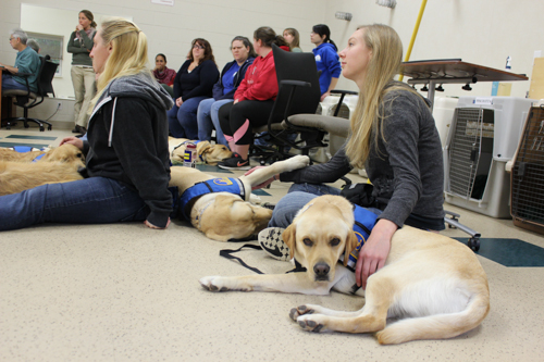 2015_1117_canine_companions-1