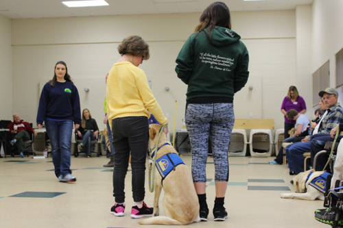 2015_1117_canine_companions-9